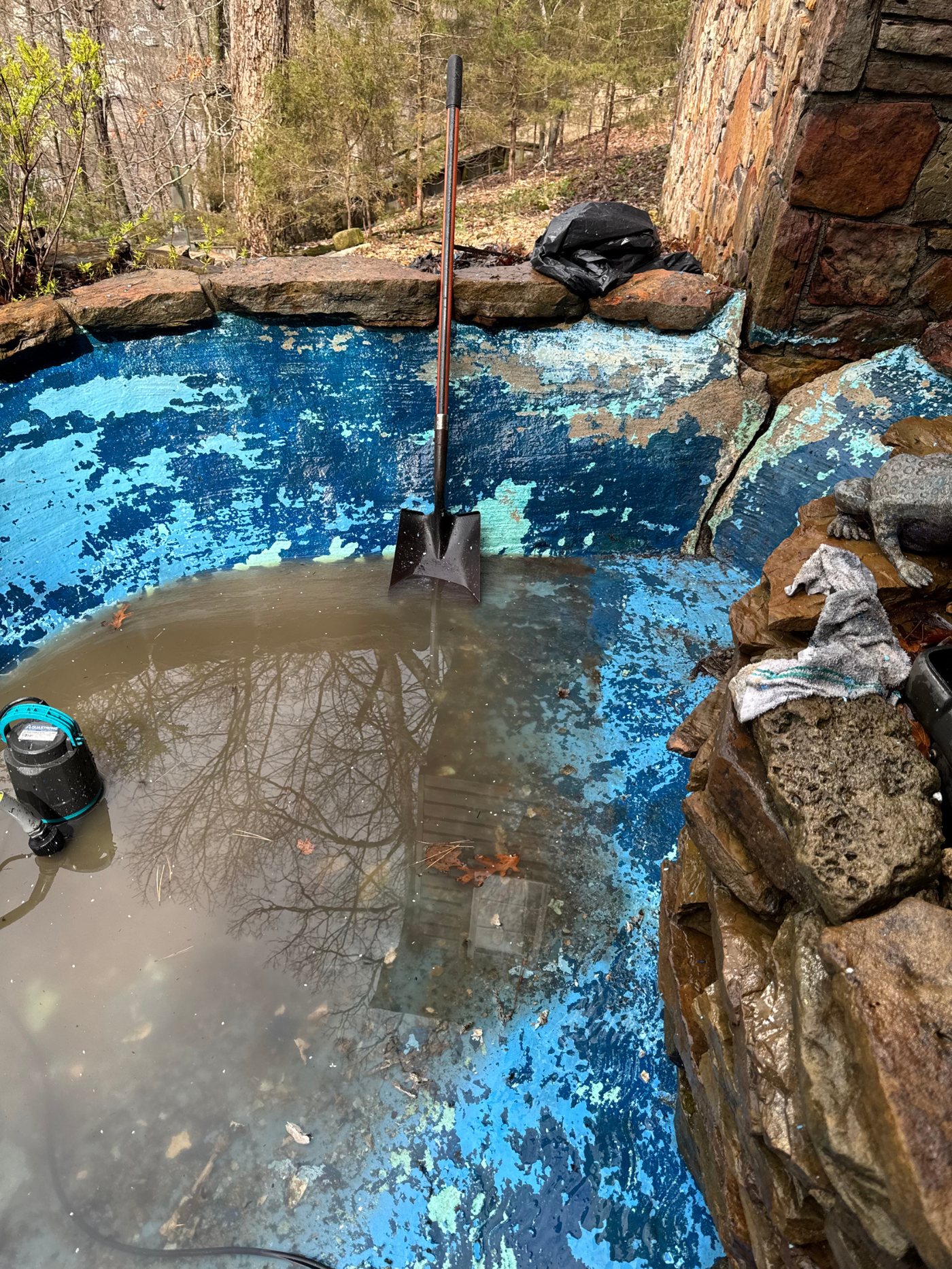 Neglected swimming pool with green water and stained deck before restoration