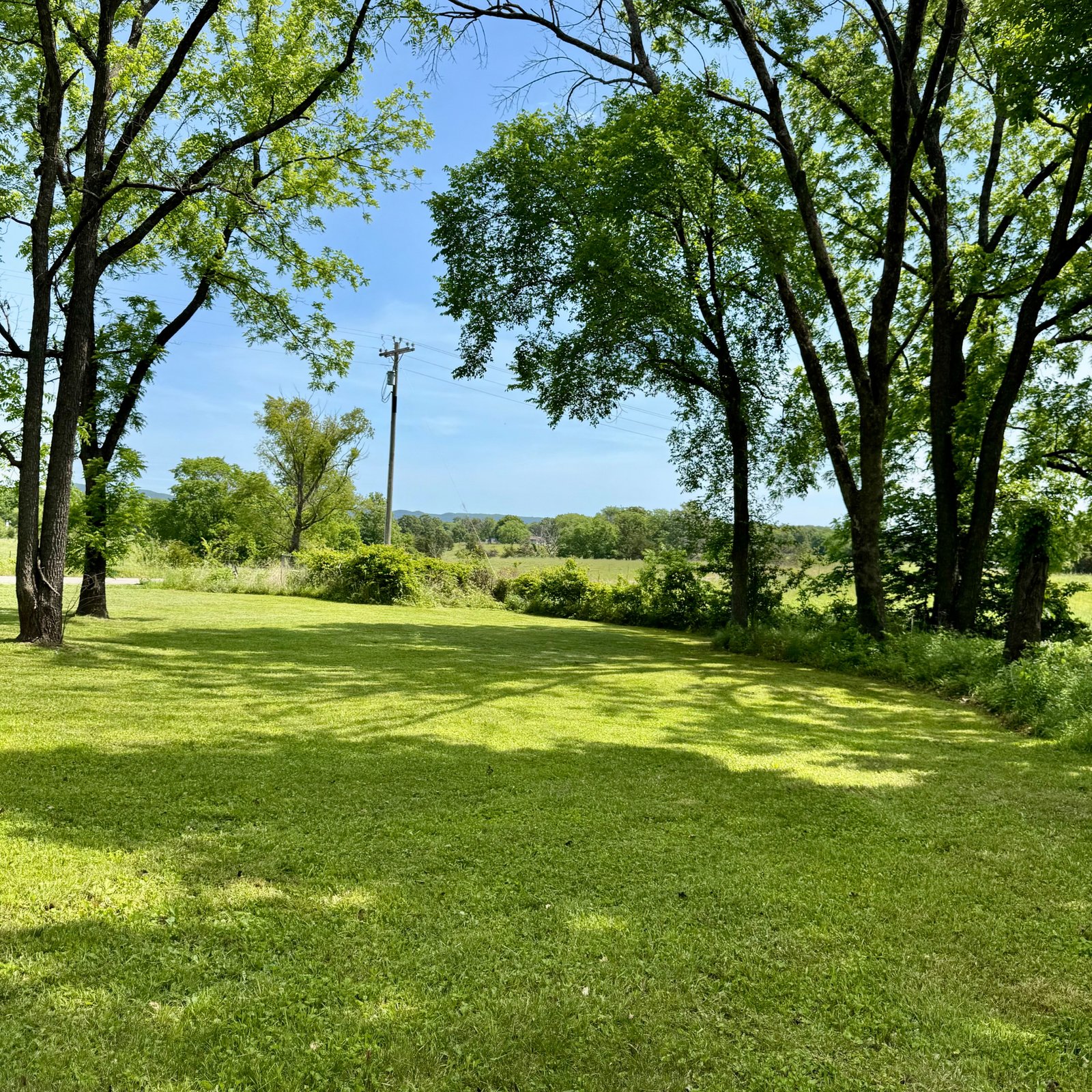 Wide Ozarks acreage bordered by mature trees under an open sky